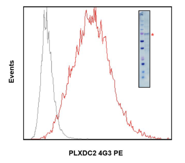 Cell Culture Products