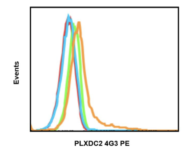 Cell Culture Products