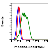 Cell Culture Products