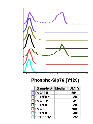Cell Culture Products