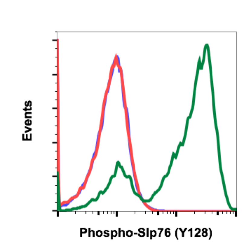 Cell Culture Products