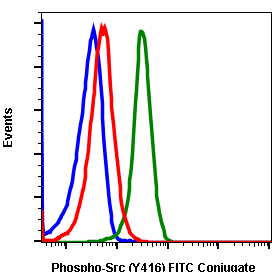 Cell Culture Products