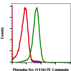 Cell Culture Products