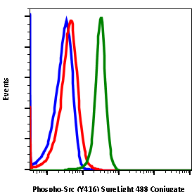 Cell Culture Products