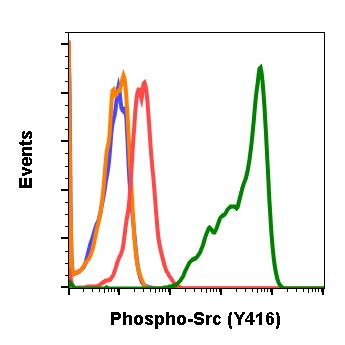 Cell Culture Products