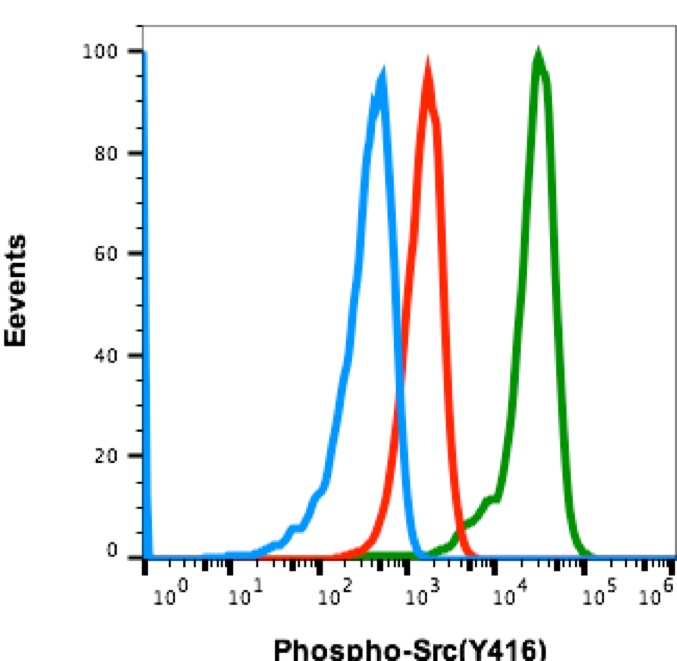 Cell Culture Products