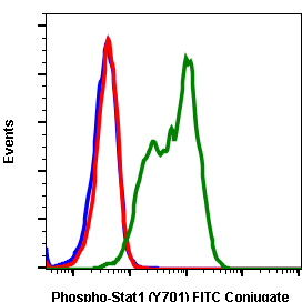 Cell Culture Products