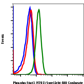 Cell Culture Products