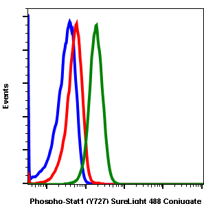 Cell Culture Products