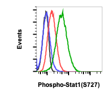 Cell Culture Products