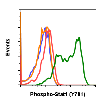 Cell Culture Products