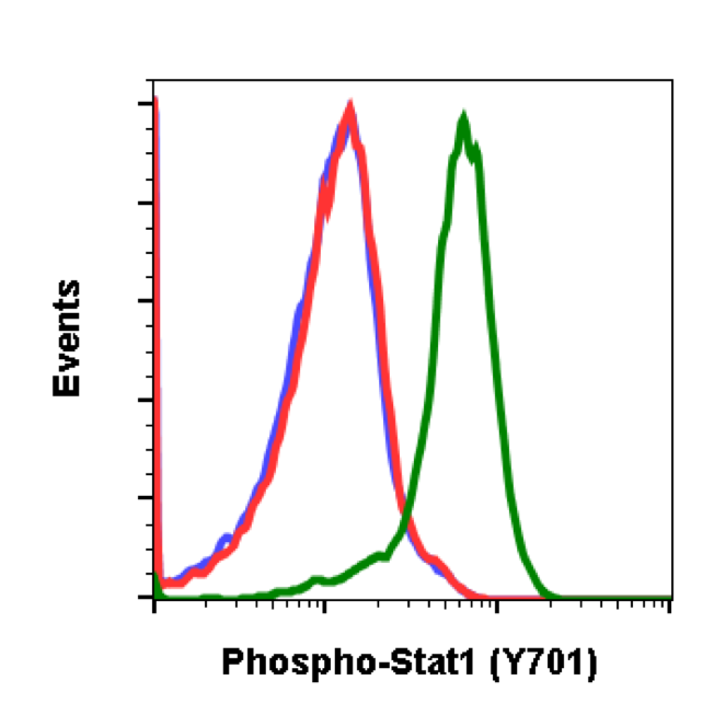 Cell Culture Products