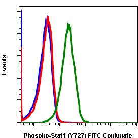 Cell Culture Products