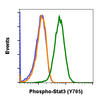 Cell Culture Products