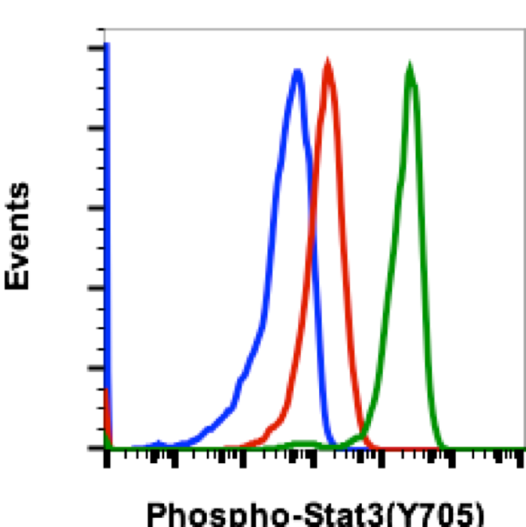 Cell Culture Products