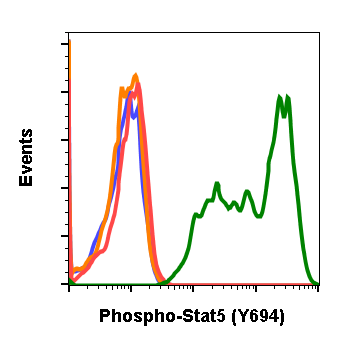 Cell Culture Products