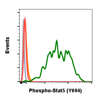 Cell Culture Products