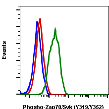 Cell Culture Products