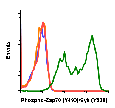 Cell Culture Products