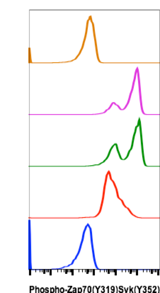 Cell Culture Products