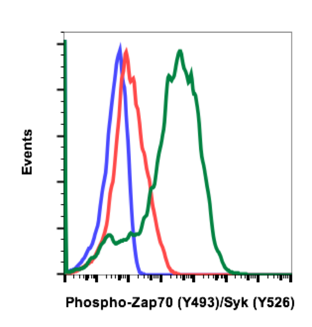 Cell Culture Products