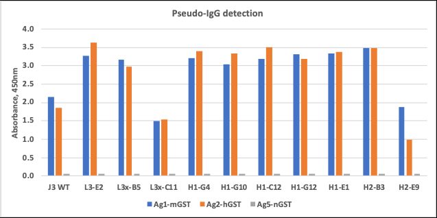 Avidity engineering: monovalent Fab vs bivalent pseudo-IgG