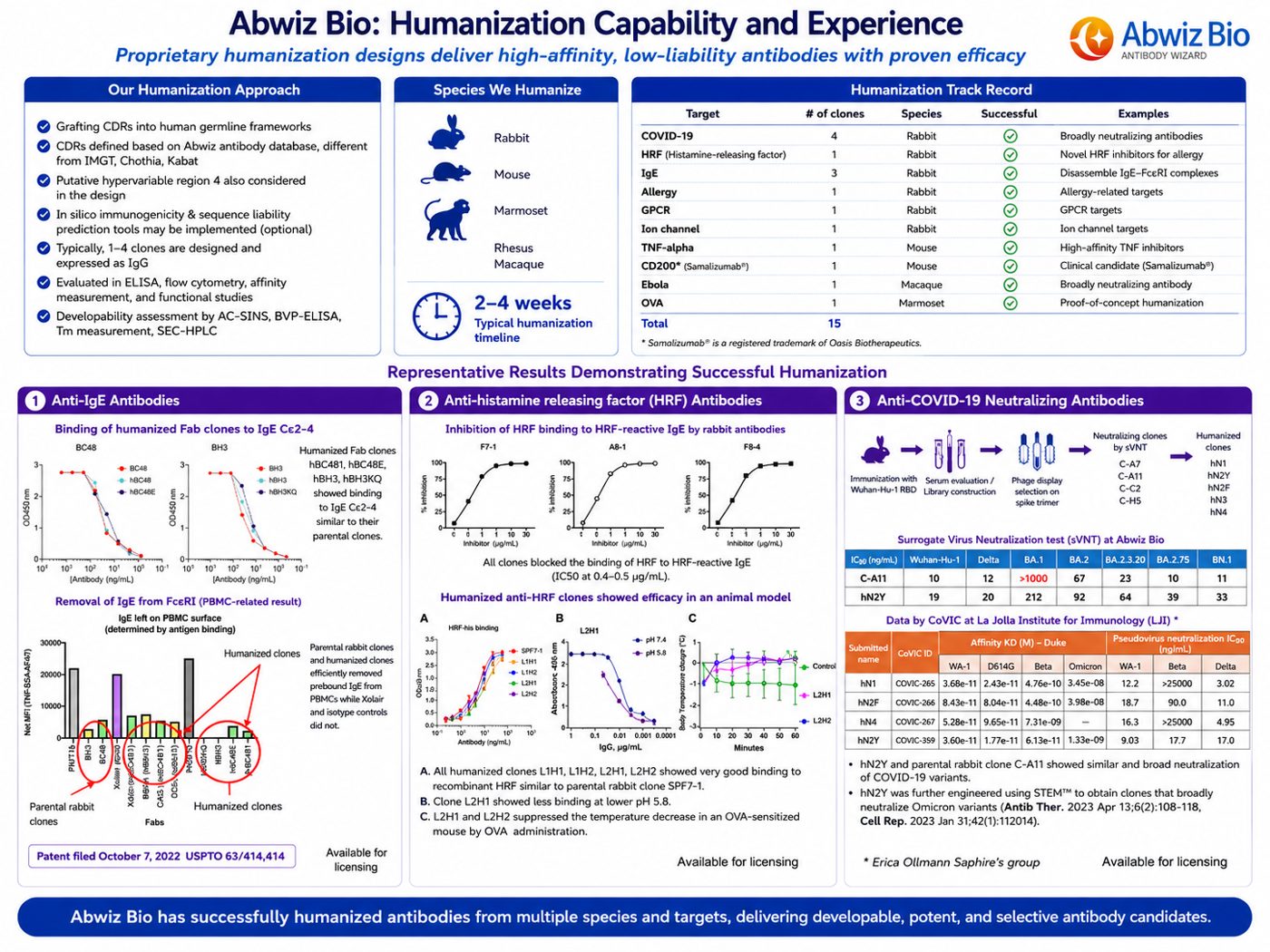 Humanization capability and experience