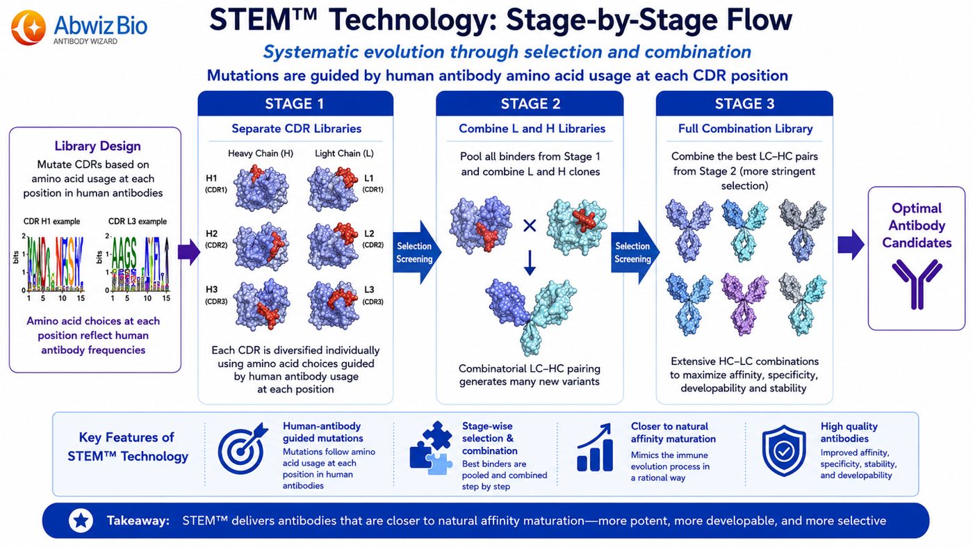 STEM™ stage-by-stage selection flow