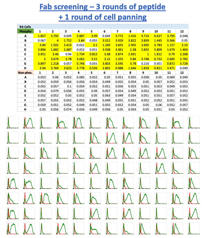 Jak2-Fab-cells Cell panning yielded Fabs with weak flow binding