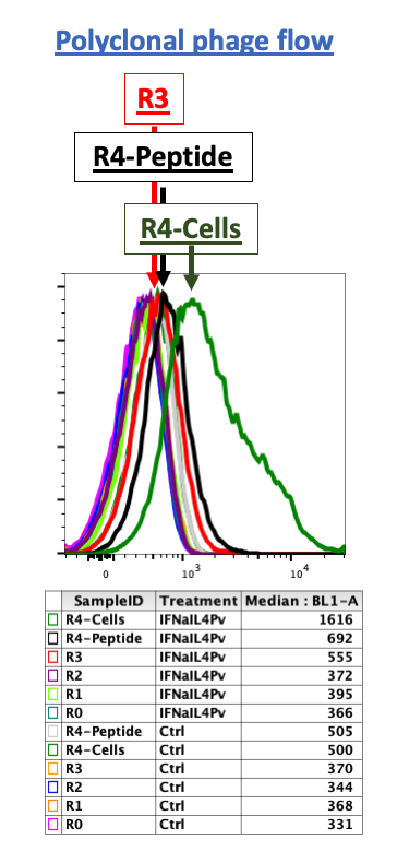 Jak2-phage-flow Phage flow showing enrichment of cell binding