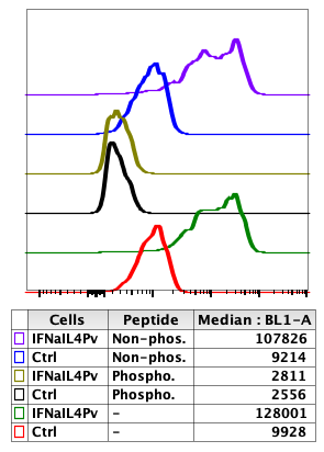 Jak2-serum-flow Flow cytometry analysis of rabbit serum