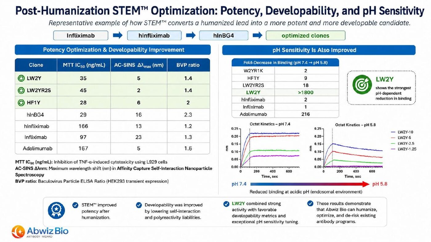 Post-humanization STEM optimization results showing MTT IC50, AC-SINS and BVP ratio for optimized clones and pH-dependent binding reduction measured by Octet kinetics